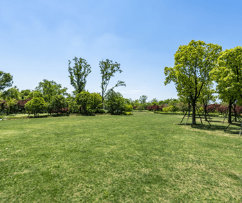 A grassy field with trees in the background.